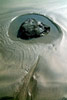 Vergrößern / Enlarge / Agrandir: My island in the sand / Meine Insel im Sand / Mon île dans le sable ©ph
