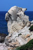 The Cliff Community