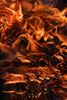 A cold day in hell