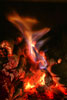 Blue Flame Café