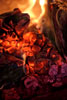 Fireside Chats